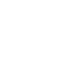 Wizard Trees Logo